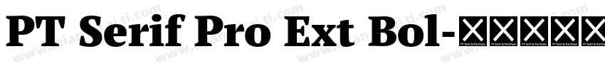 PT Serif Pro Ext Bol字体转换